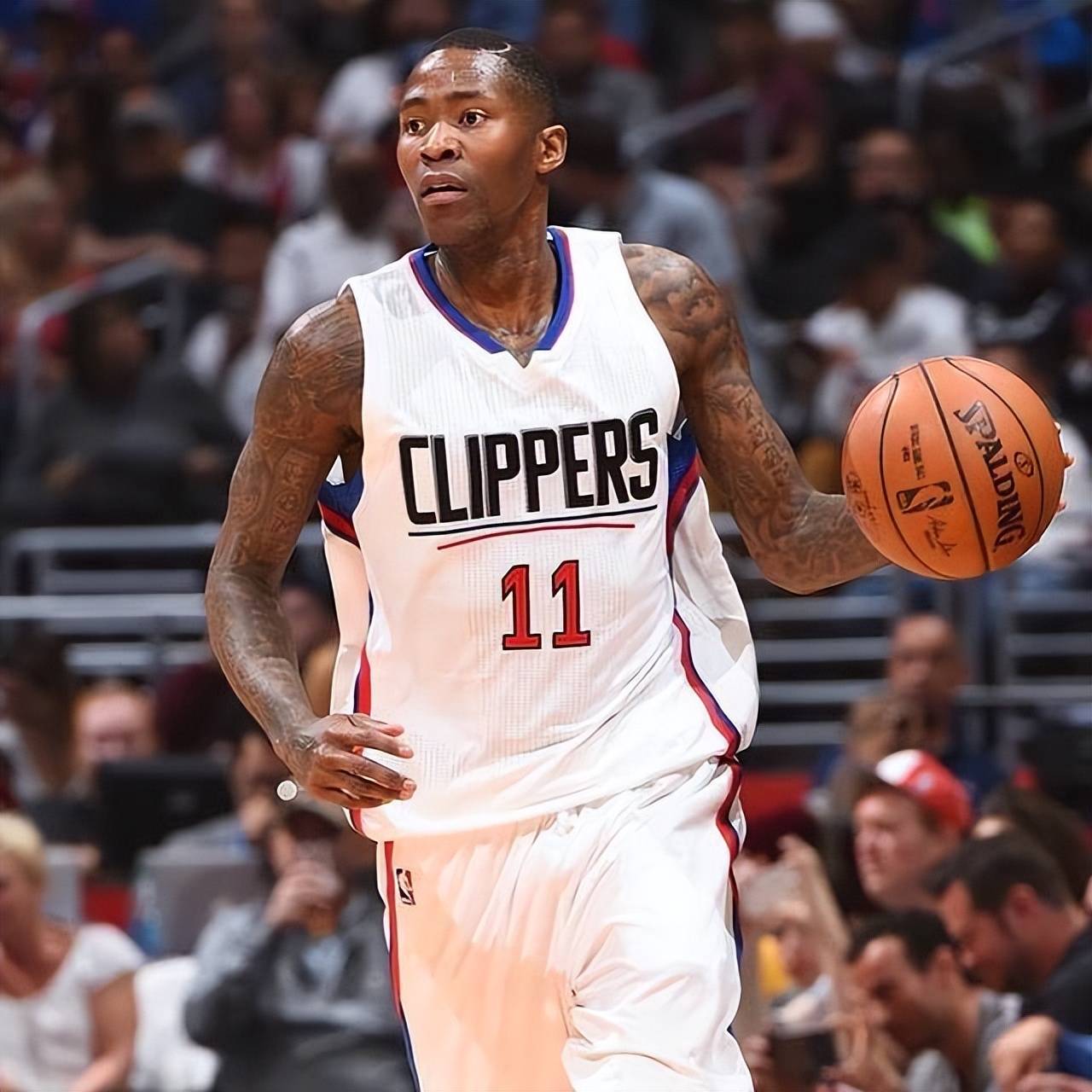 经验给了比 经验给了比